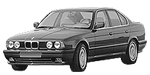 BMW E34 P319E Fault Code