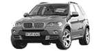 BMW E70 P319E Fault Code