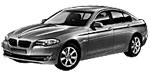 BMW F10 P319E Fault Code