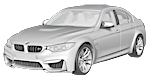 BMW F80 P319E Fault Code